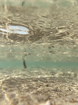 The image captures an underwater scene showing a sandy bottom with small stones and debris scattered. Gentle ripples are visible on the water’s surface, creating a wavy pattern. The water appears clear, allowing the sunlight to penetrate and create subtle reflections on the sand.