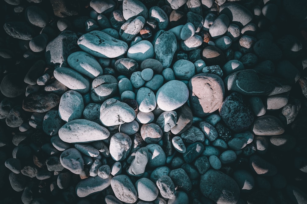 blue and white stones on water