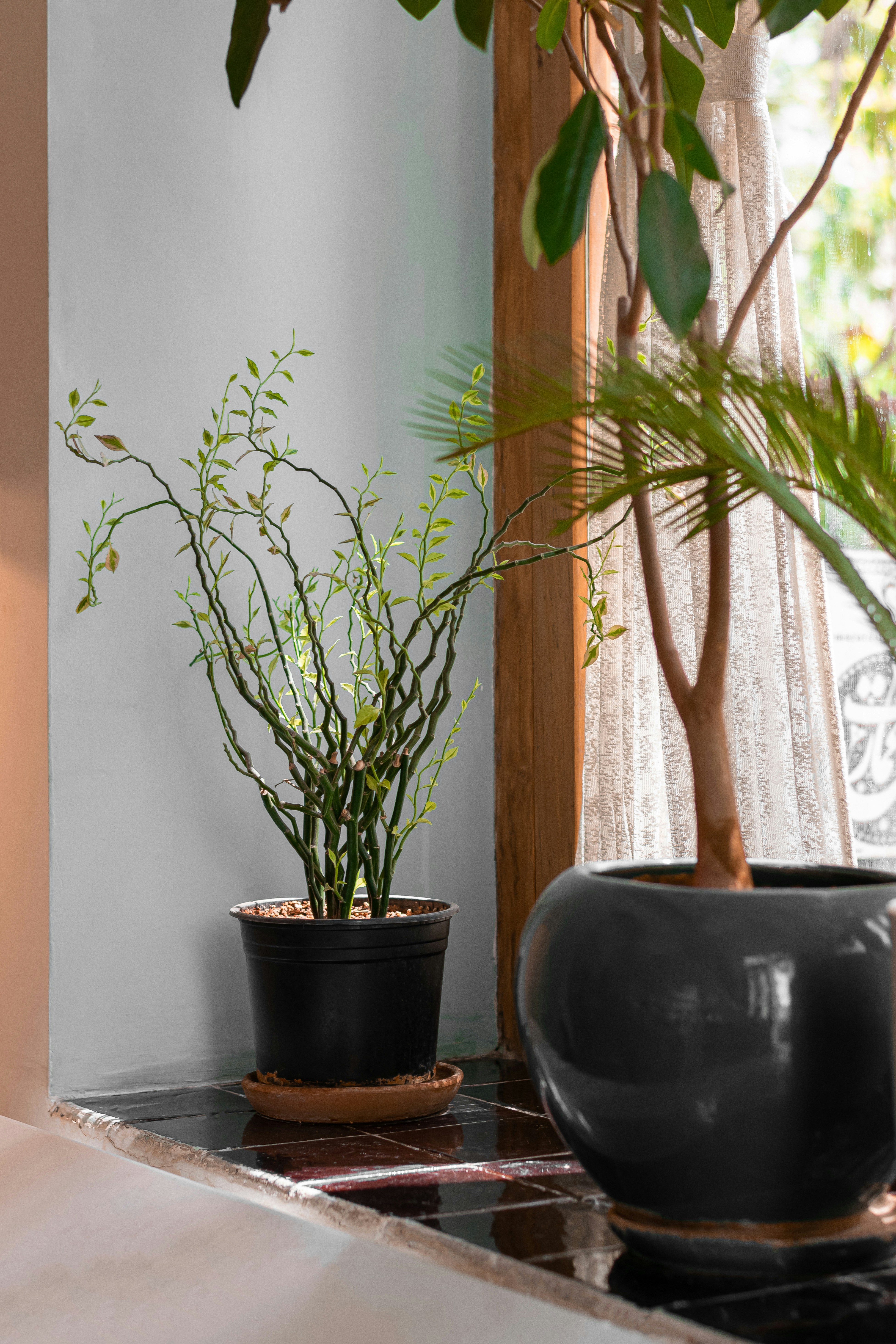 Photo by samahosseini