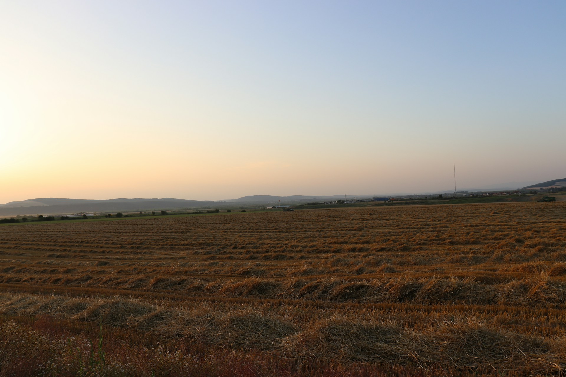 woman wearing yellow long-sleeved dress under white clouds and blue sky during daytime