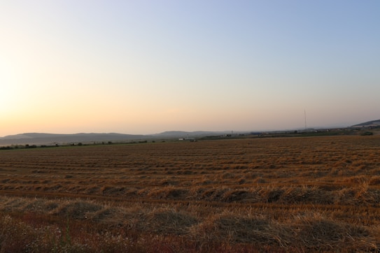 The image features a vast field with rows of harvested crops, set against a backdrop of distant hills and a clear sky during sunrise or sunset. The landscape is expansive, with a gentle gradient of colors in the sky, ranging from blue to soft orange.