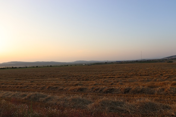 The image features a vast field with rows of harvested crops, set against a backdrop of distant hills and a clear sky during sunrise or sunset. The landscape is expansive, with a gentle gradient of colors in the sky, ranging from blue to soft orange.