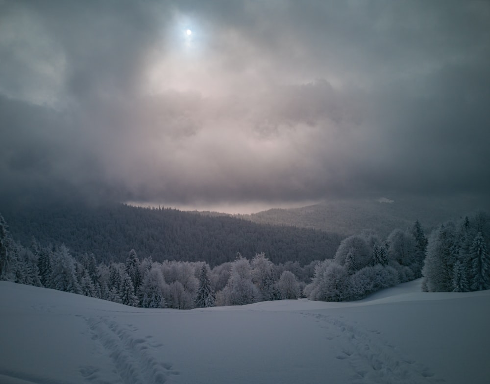 snow covered field and trees under cloudy sky during daytime