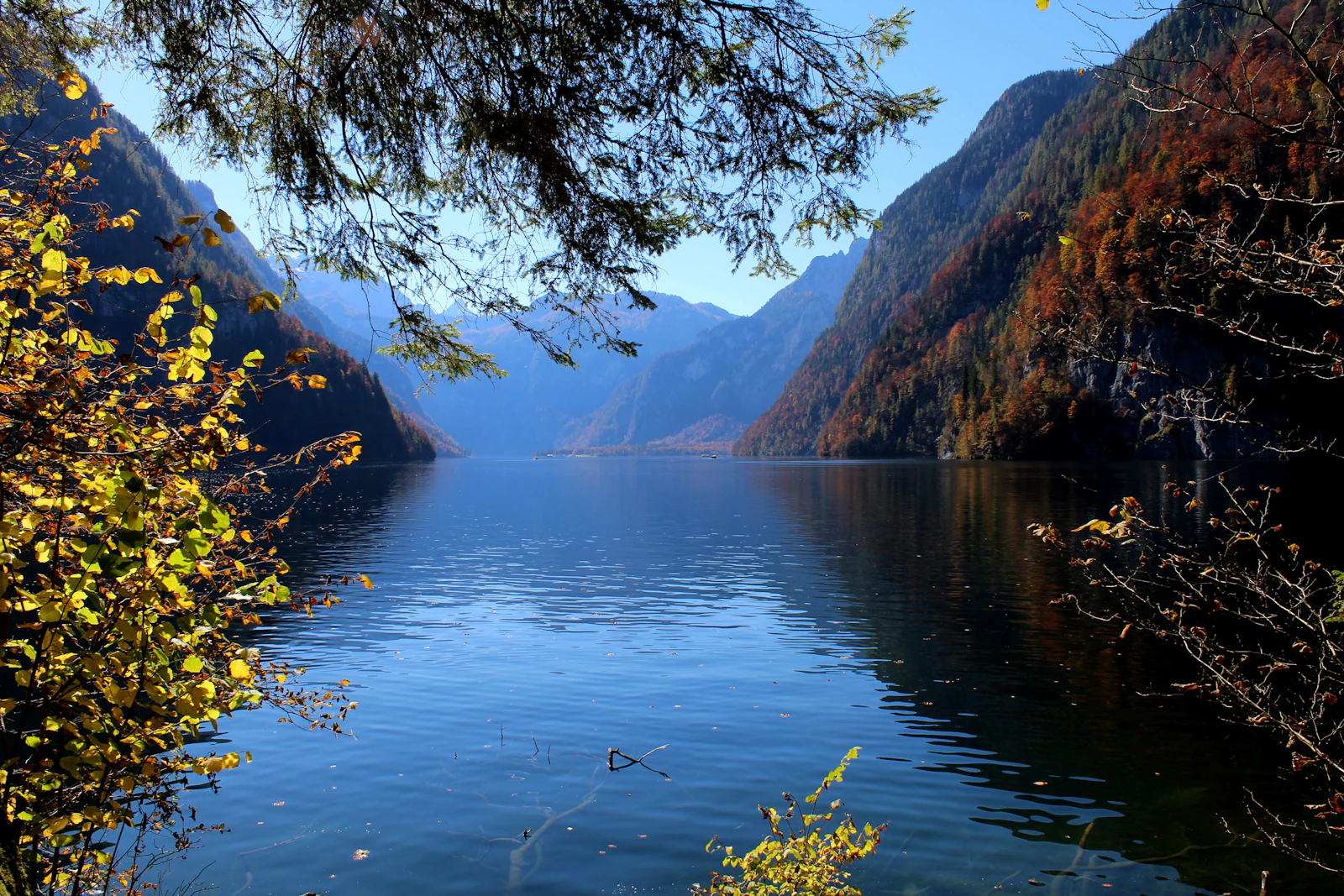 Königssee mit grünem Wasser zwischen steilen Felswänden