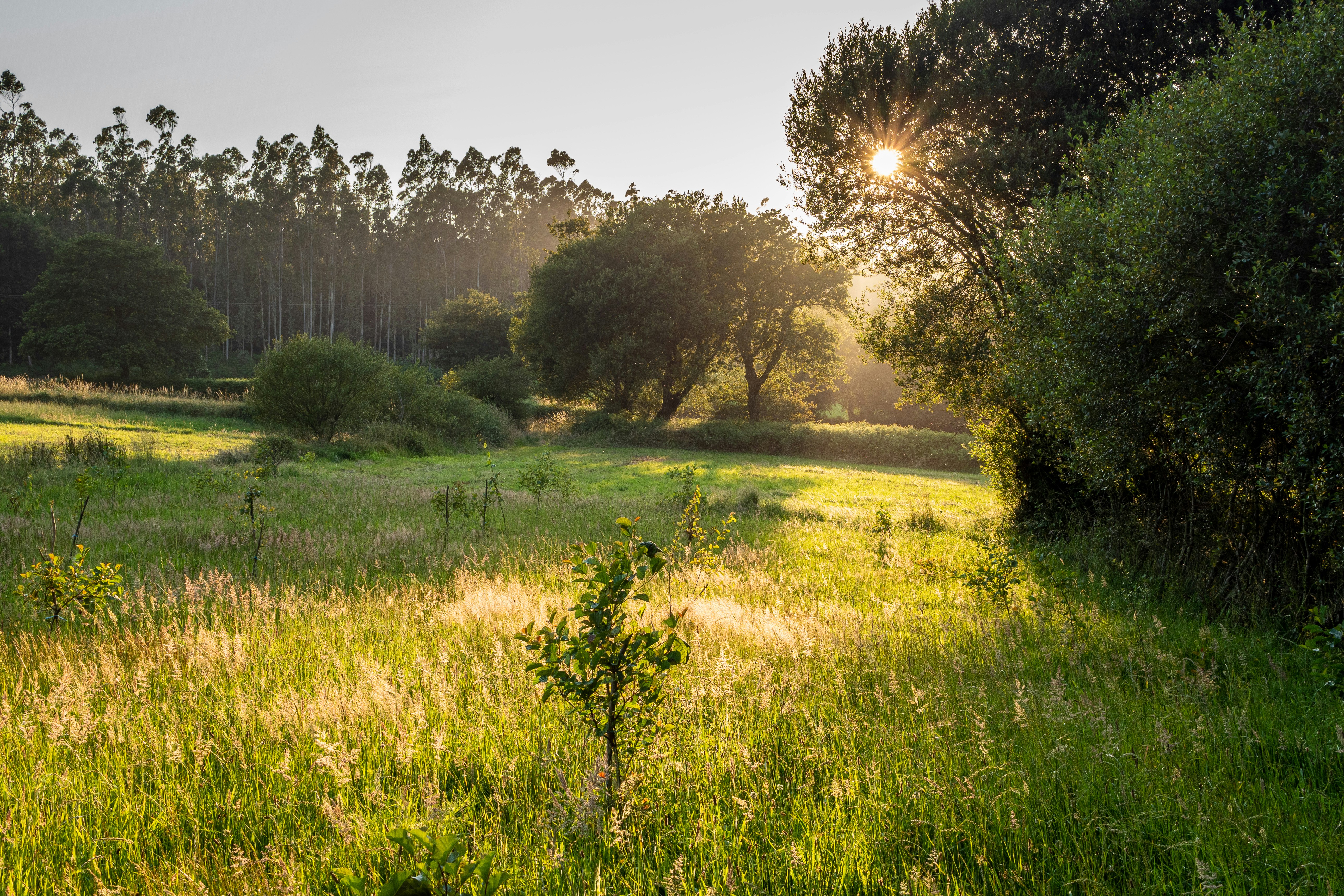 Photo by nosoylasonia