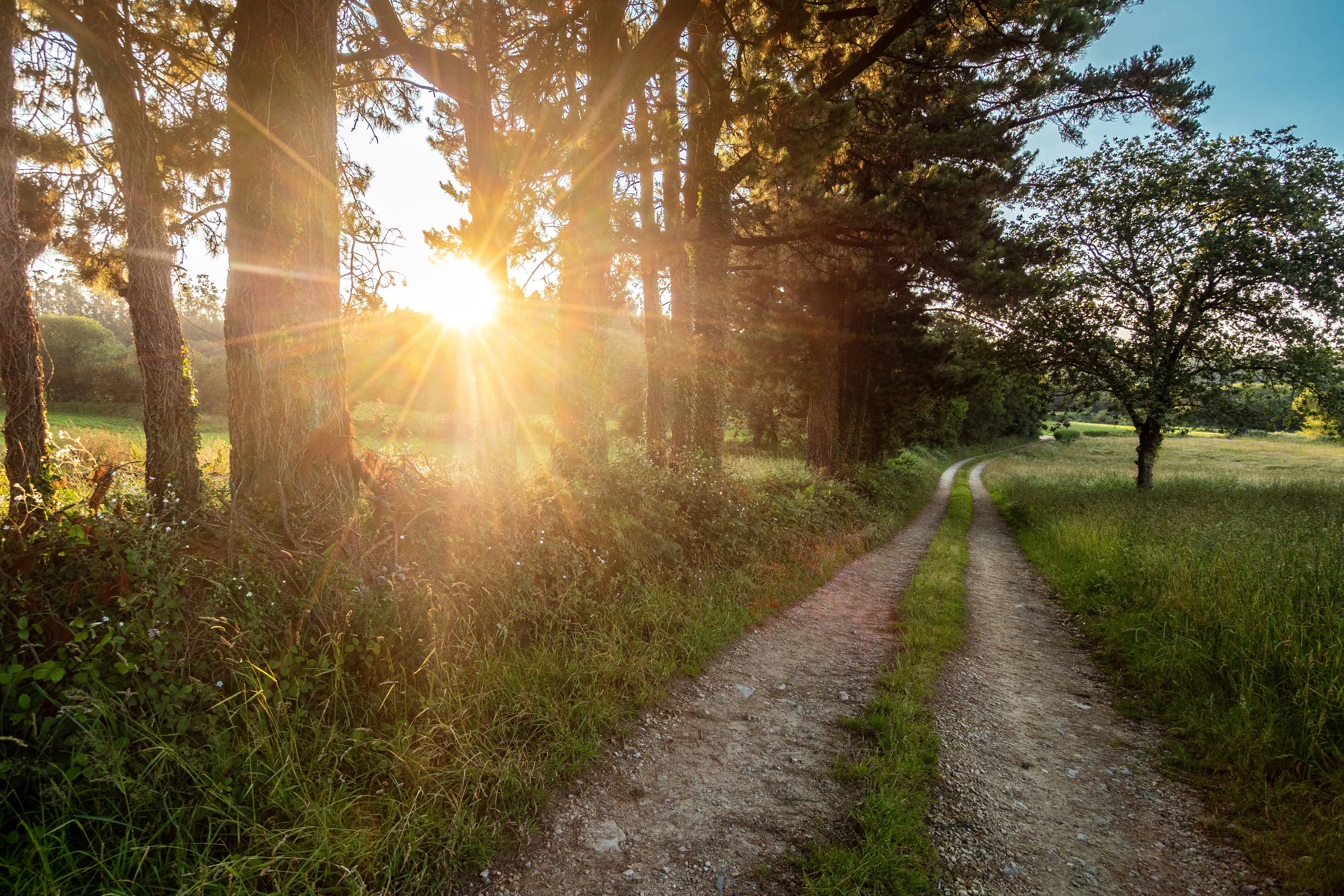 Photo by nosoylasonia