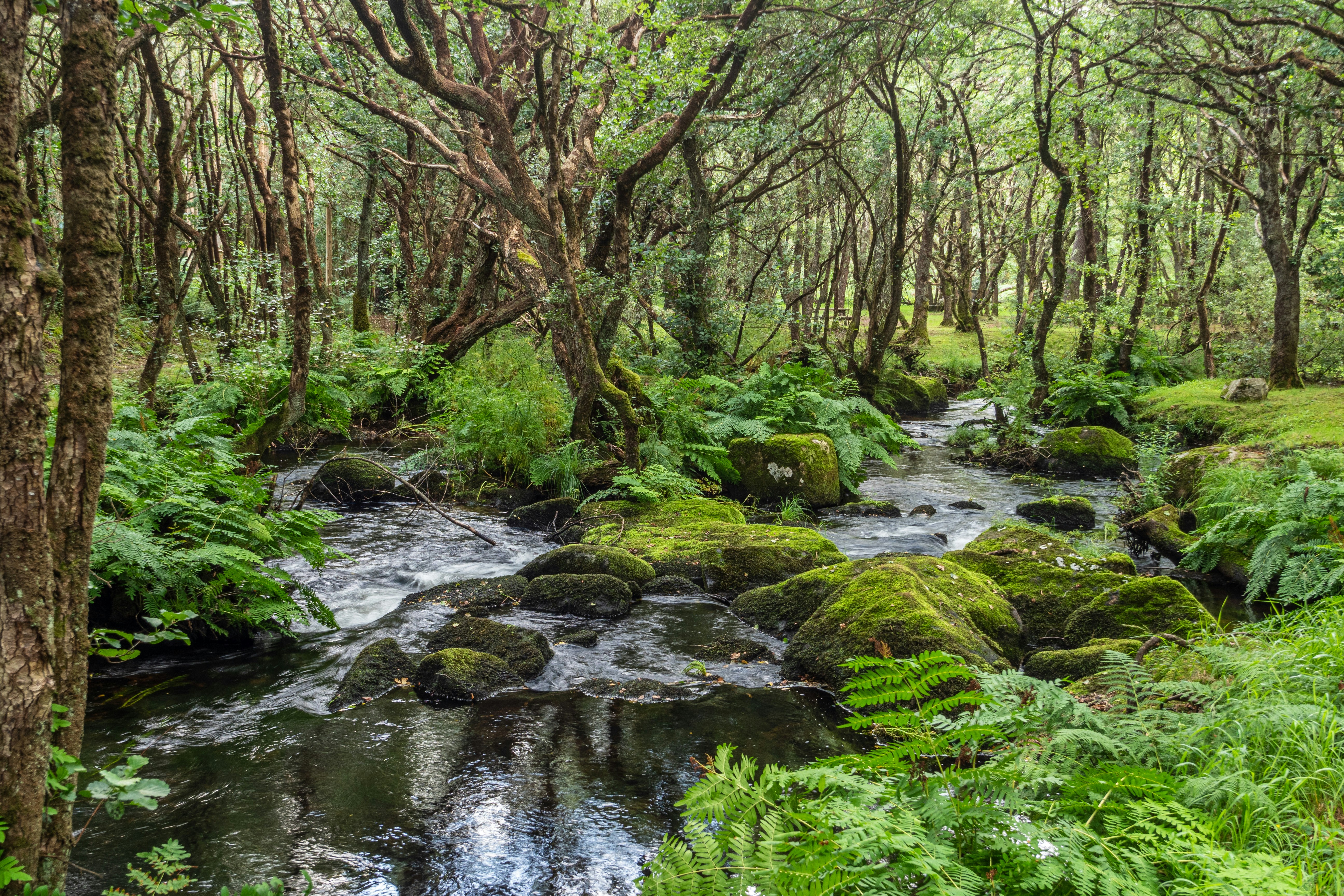 Photo by nosoylasonia