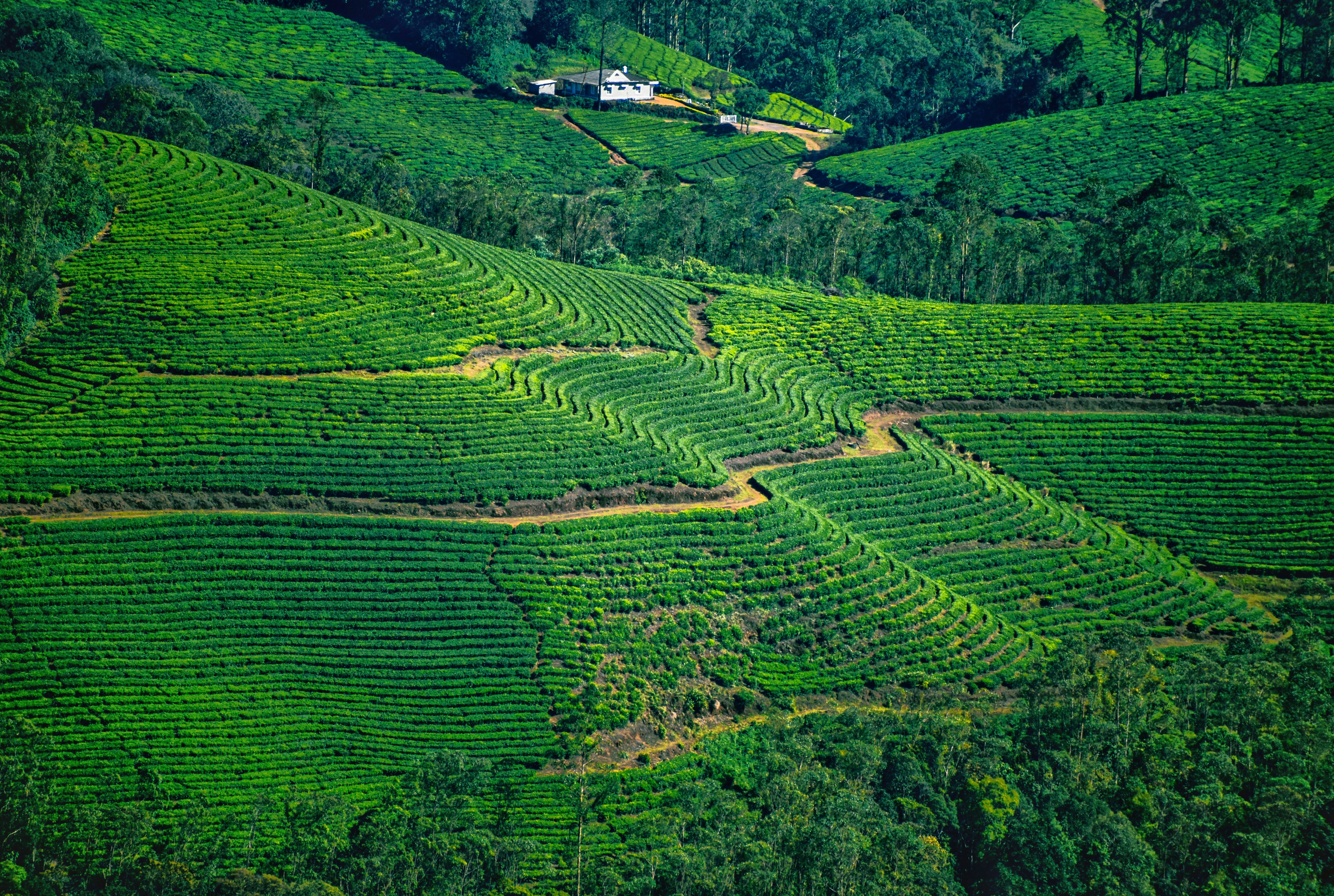 Photo by navi_photography