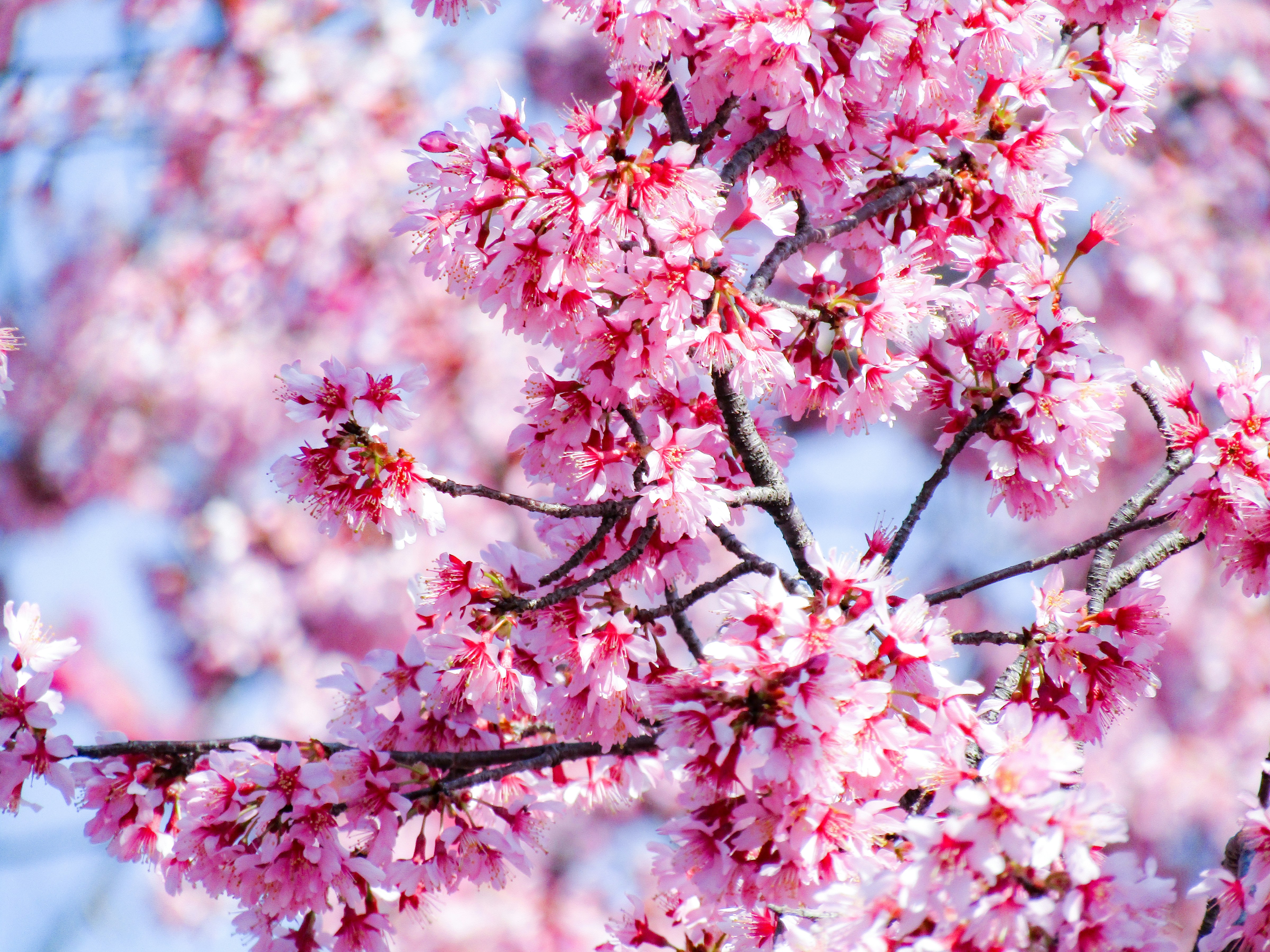 Photo by heppoko_yama