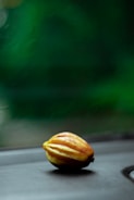 A single cocoa pod rests on a dark surface with a blurred green background that suggests foliage or a natural setting.