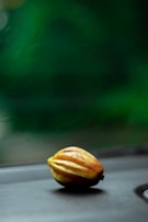 A single cocoa pod rests on a dark surface with a blurred green background that suggests foliage or a natural setting.