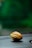 A single cocoa pod rests on a dark surface with a blurred green background that suggests foliage or a natural setting.