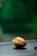 A single cocoa pod rests on a dark surface with a blurred green background that suggests foliage or a natural setting.