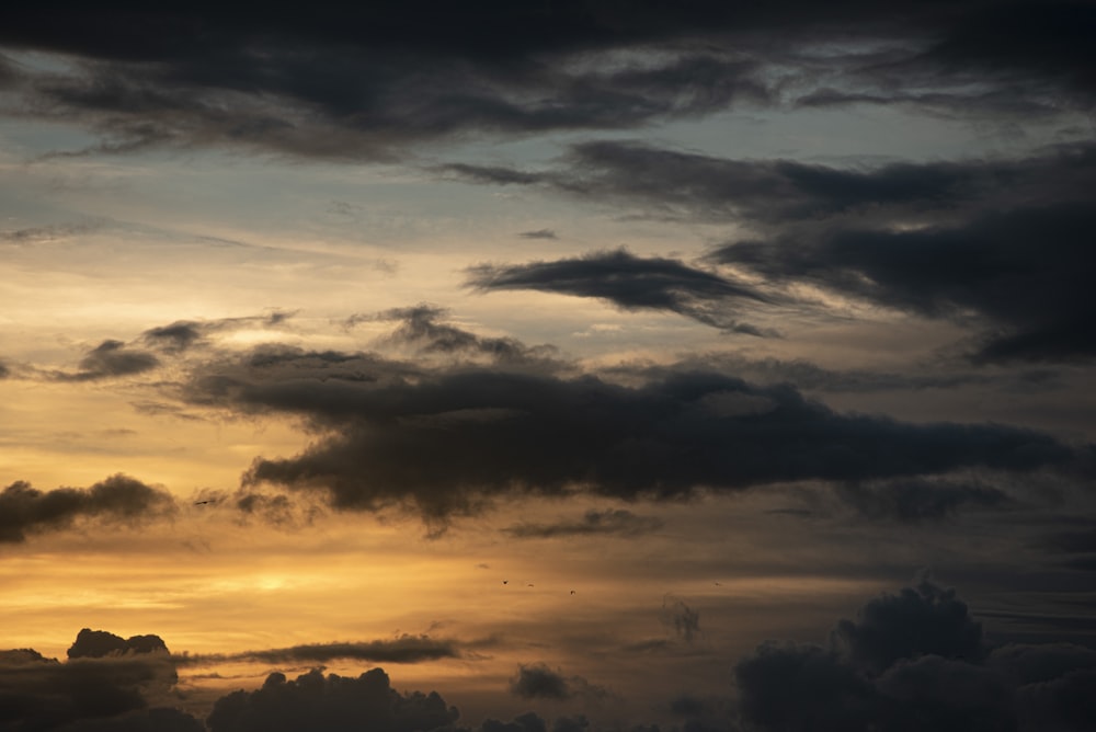 Silhouette von Bäumen unter bewölktem Himmel bei Sonnenuntergang