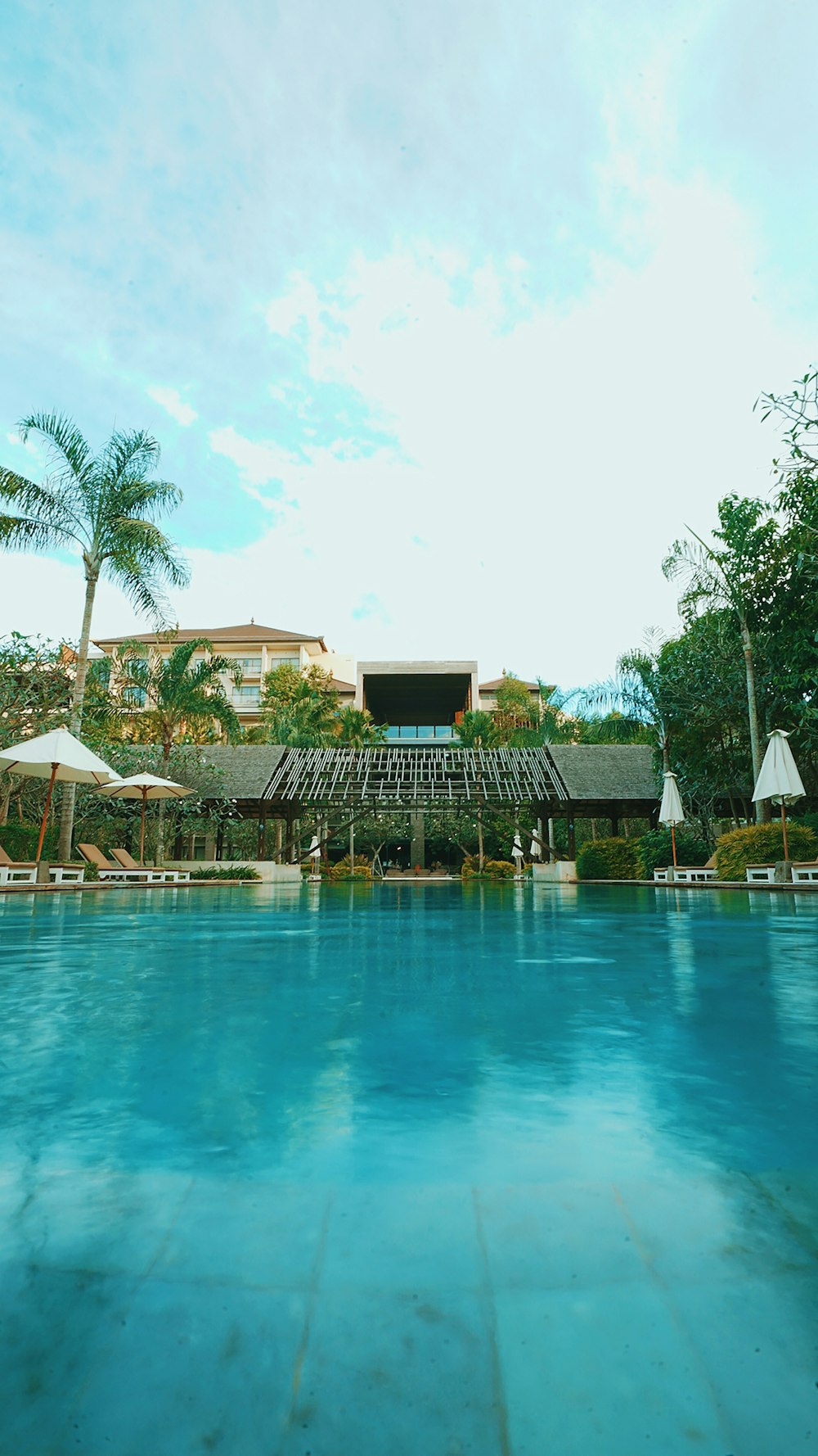 blue swimming pool near green palm trees during daytime