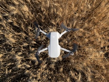 white quadcopter drone on brown dried grass