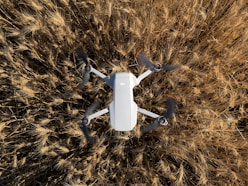 white quadcopter drone on brown dried grass