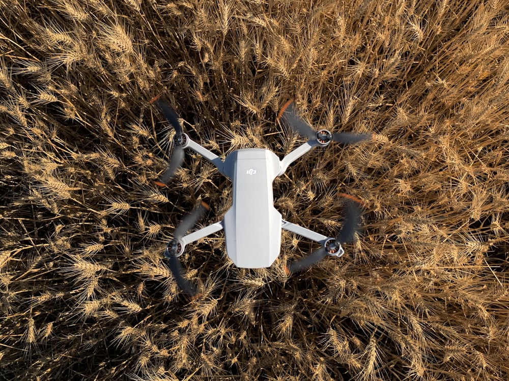 white quadcopter drone on brown dried grass