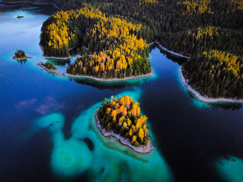 green trees on island during daytime