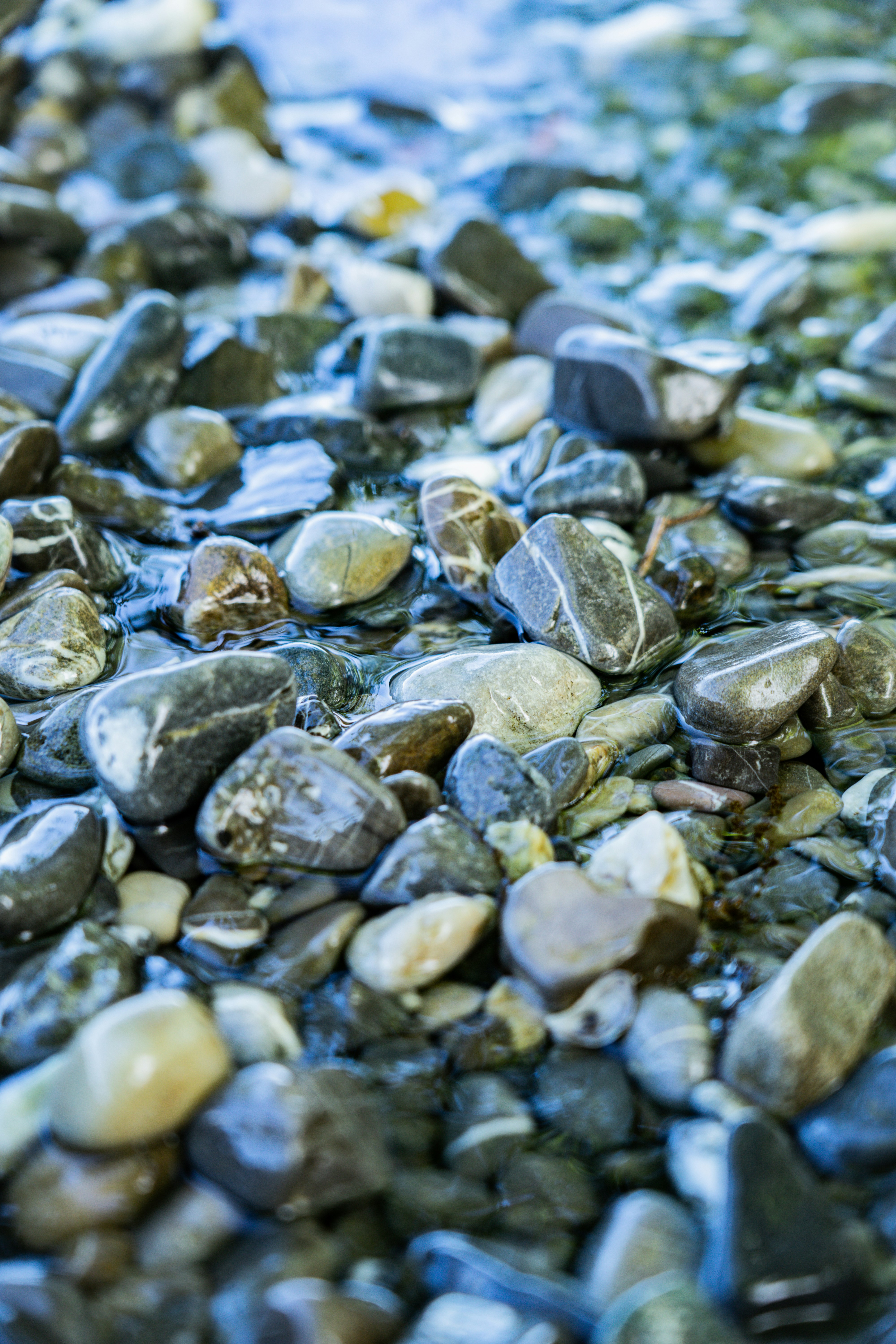 gray and white stones on water