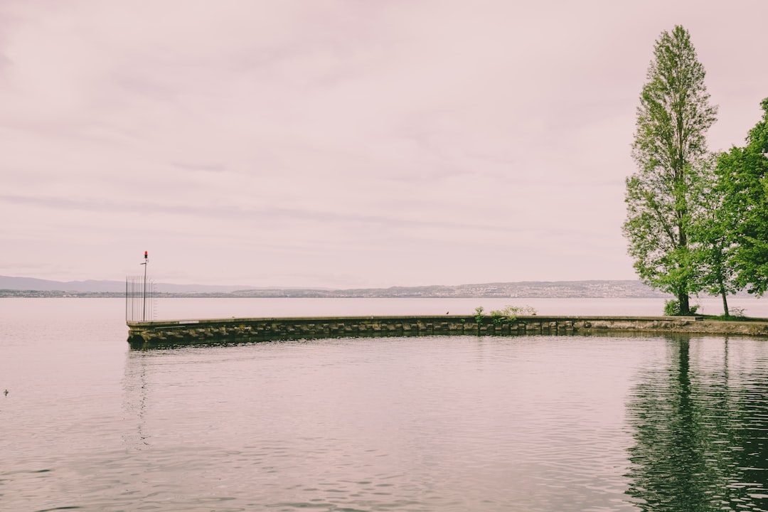 green trees beside body of water under white sky during daytime