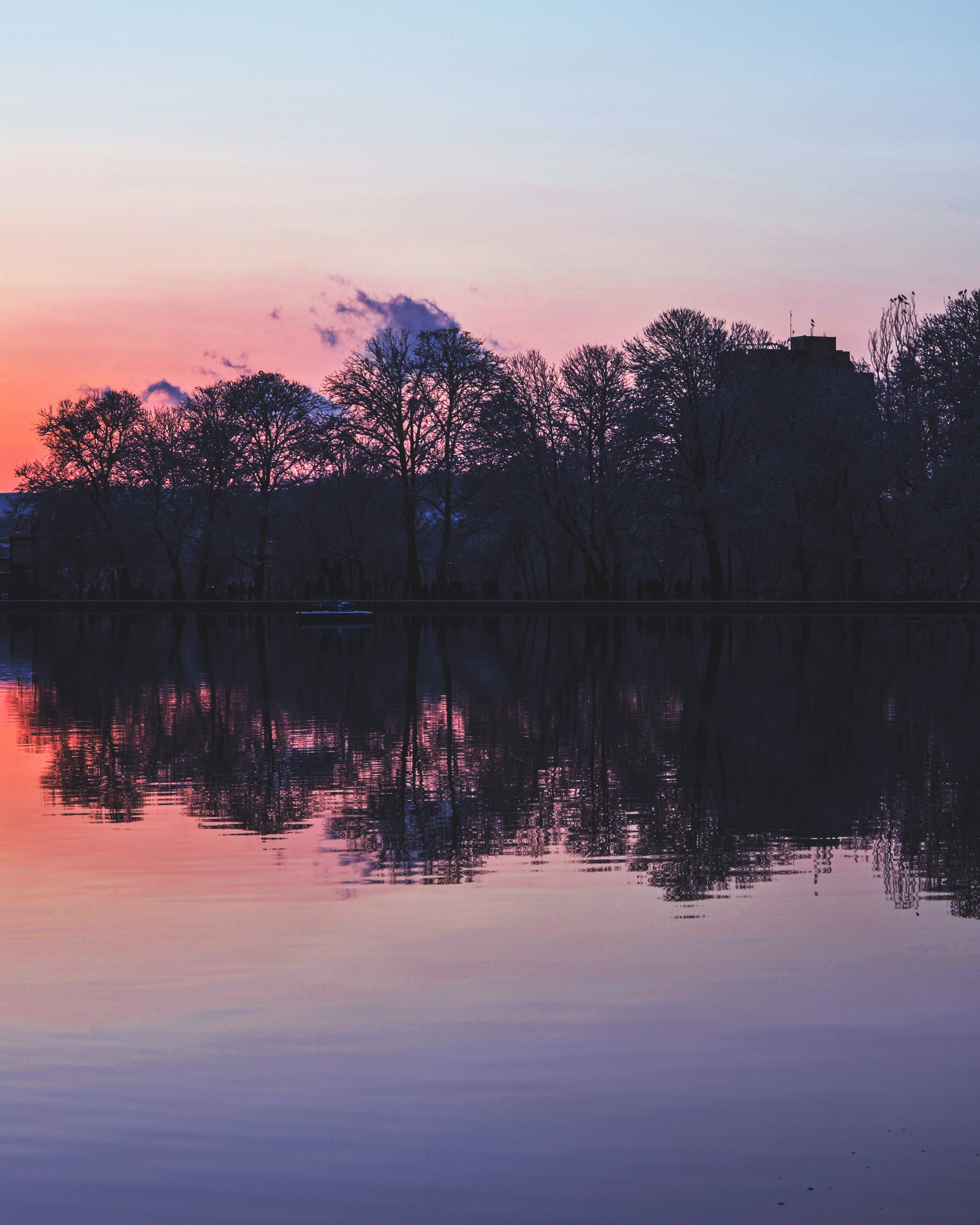 Photo by m_mohammadpour