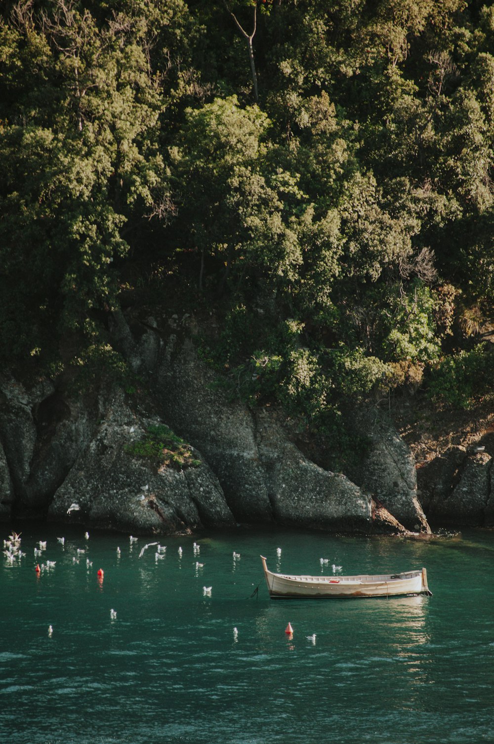 brown boat on body of water near green trees during daytime