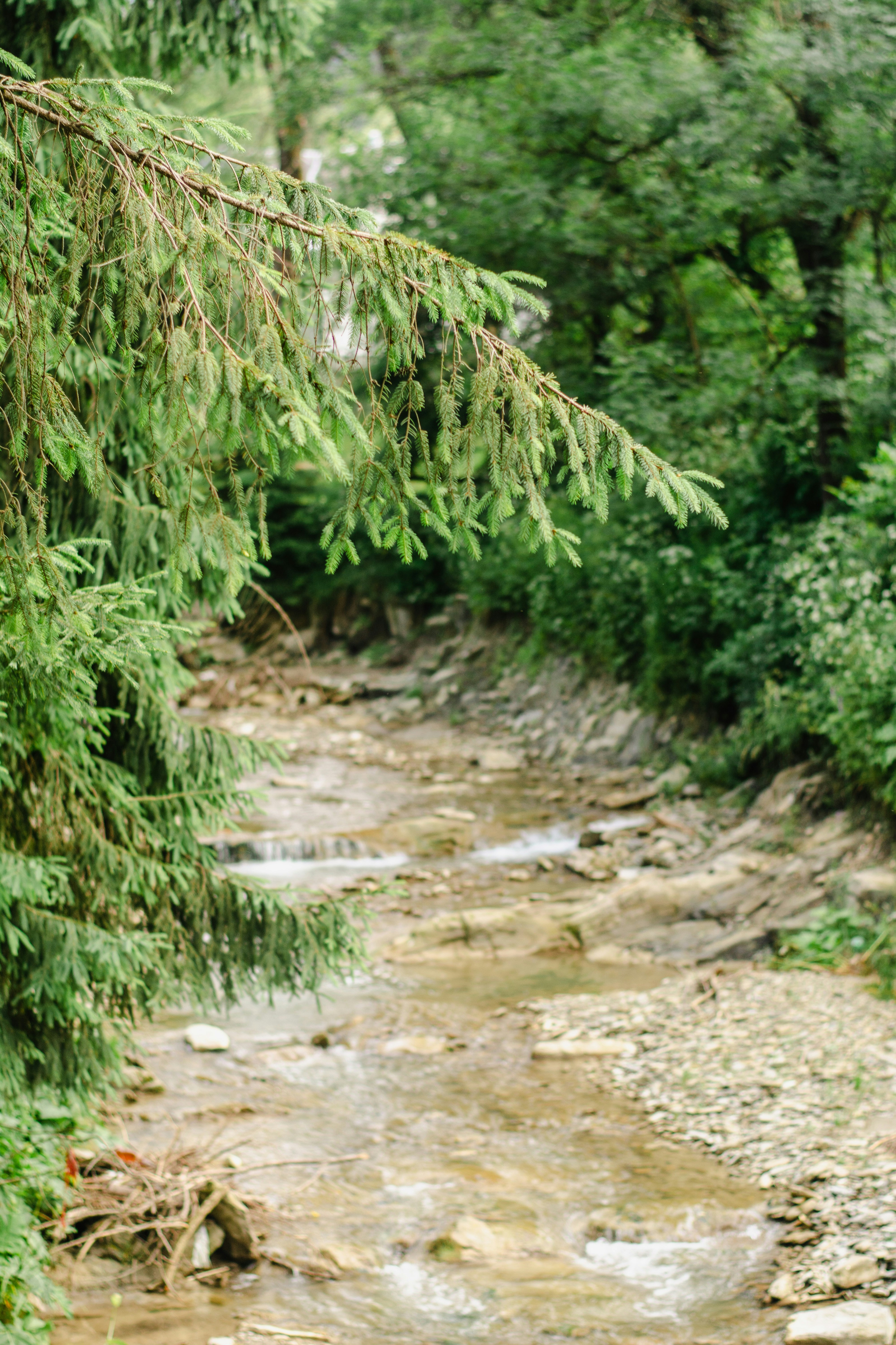 Photo by eugenivy_now