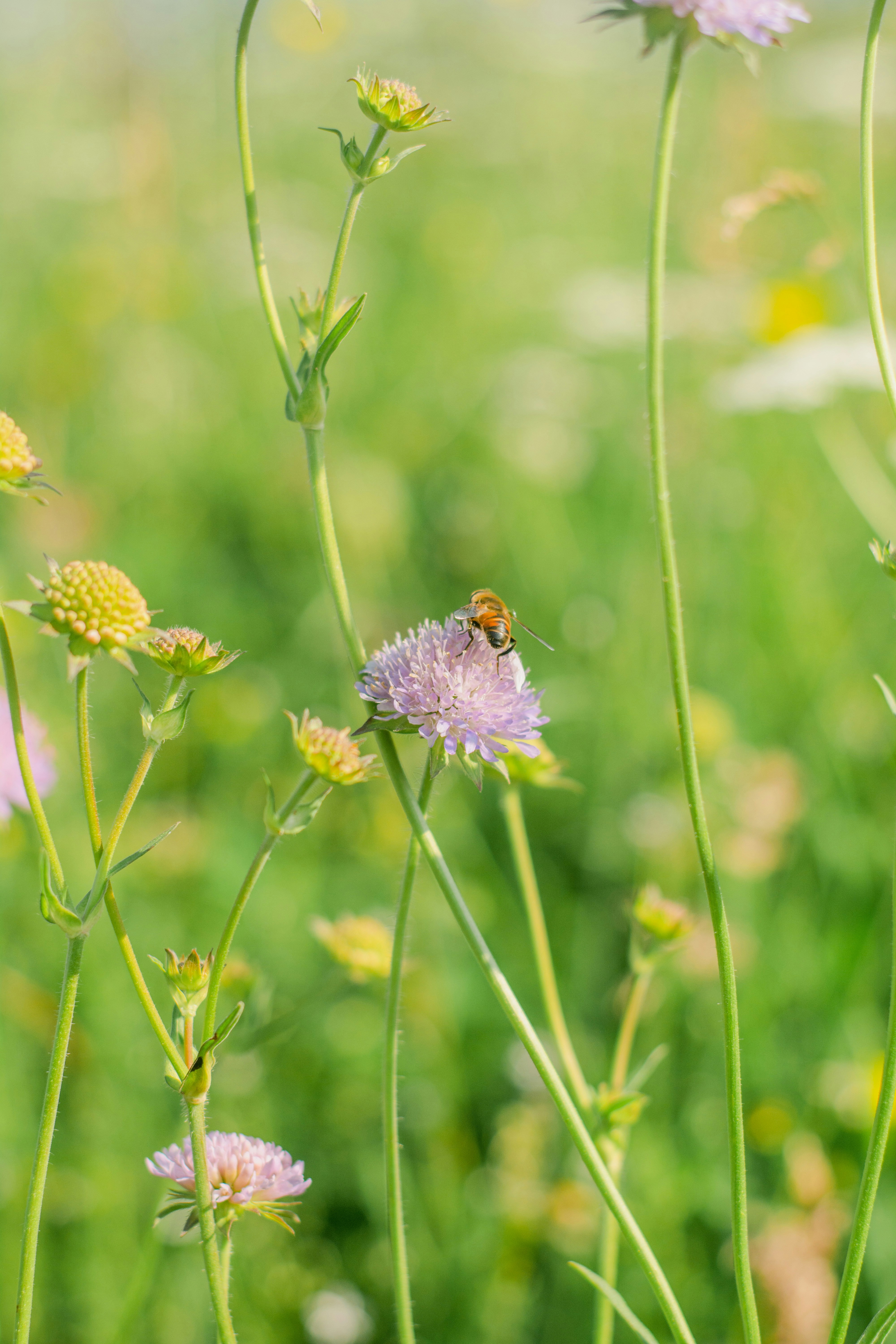 Photo by eugenivy_now