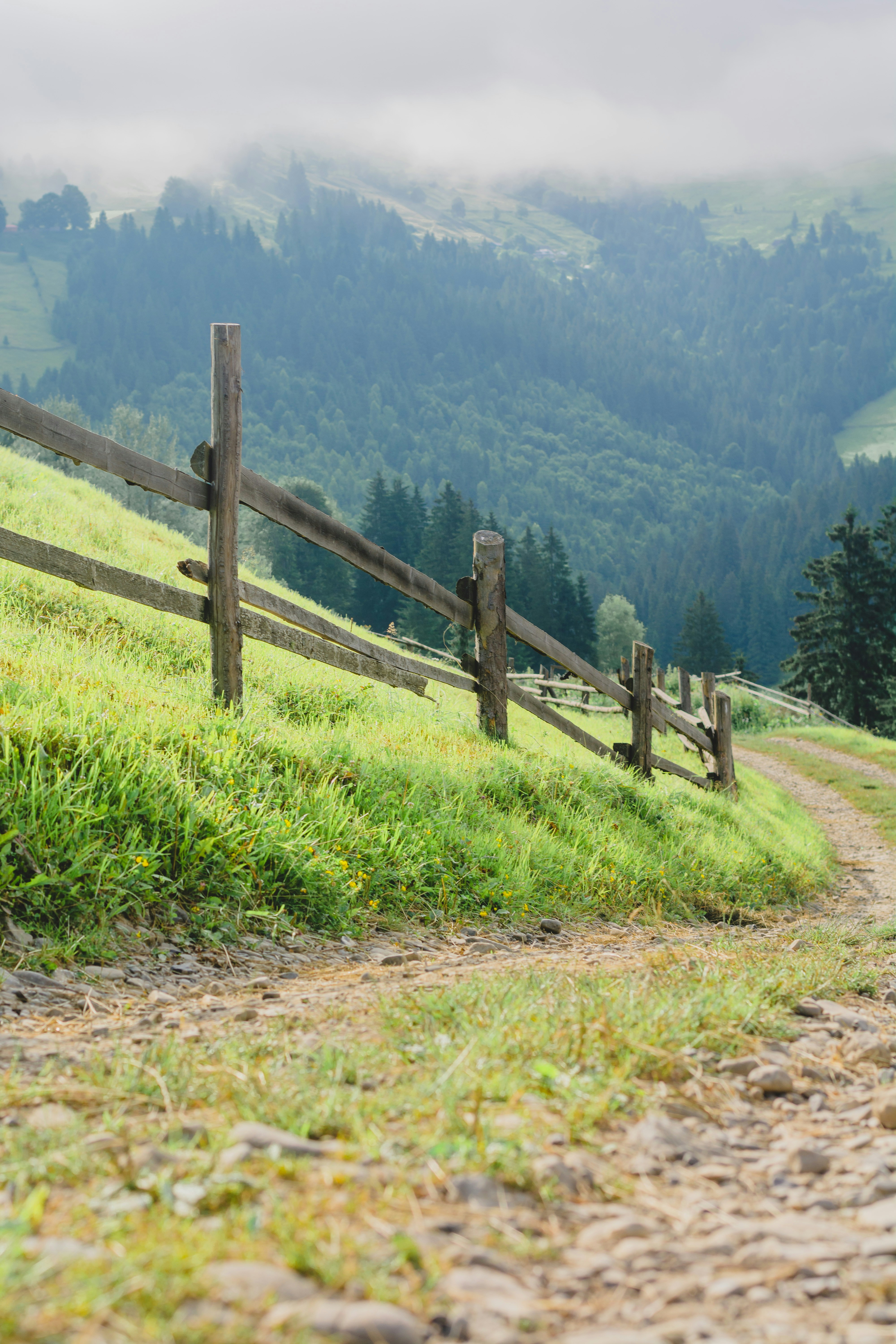 Photo by eugenivy_now