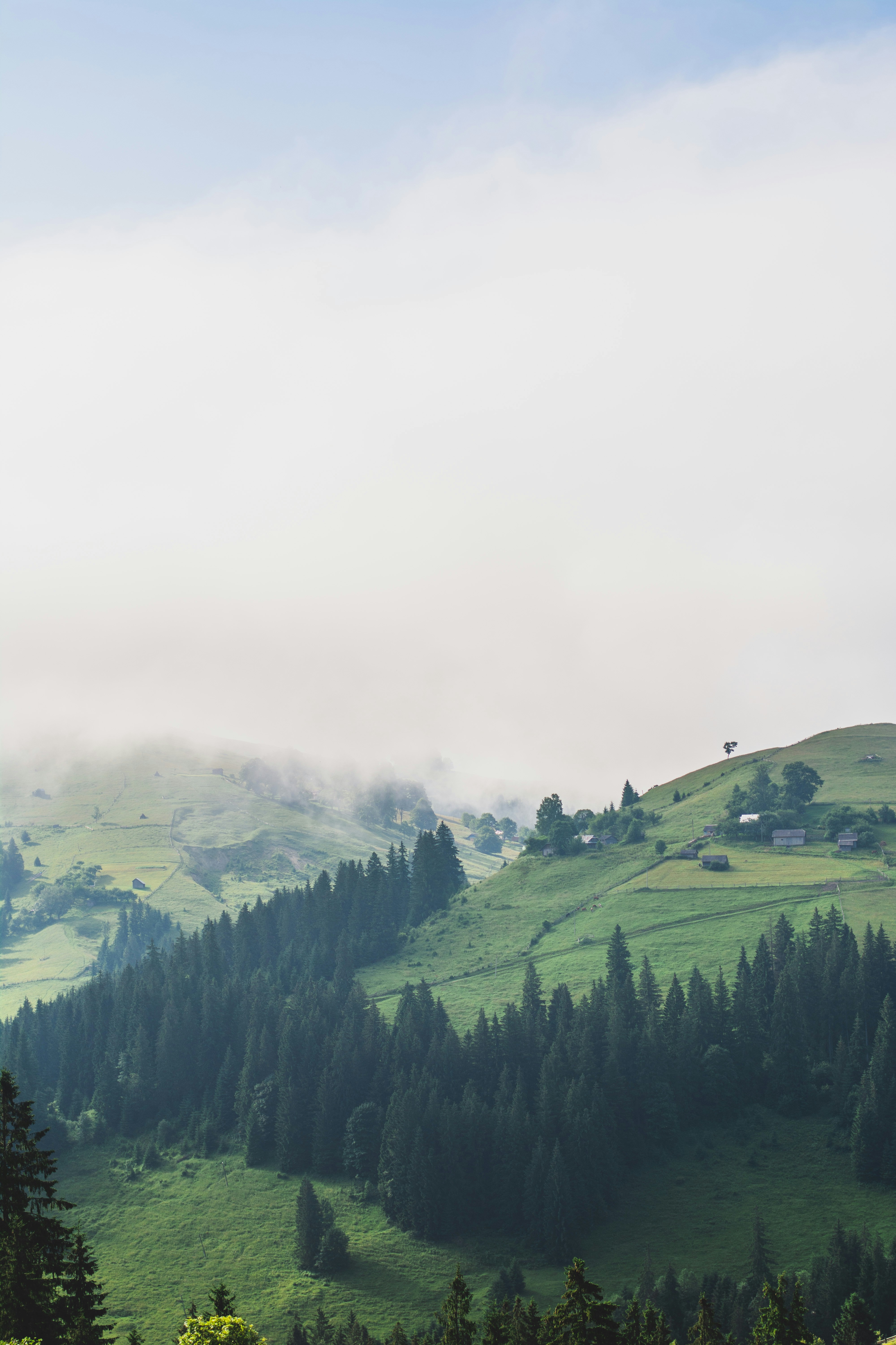 Photo by eugenivy_now