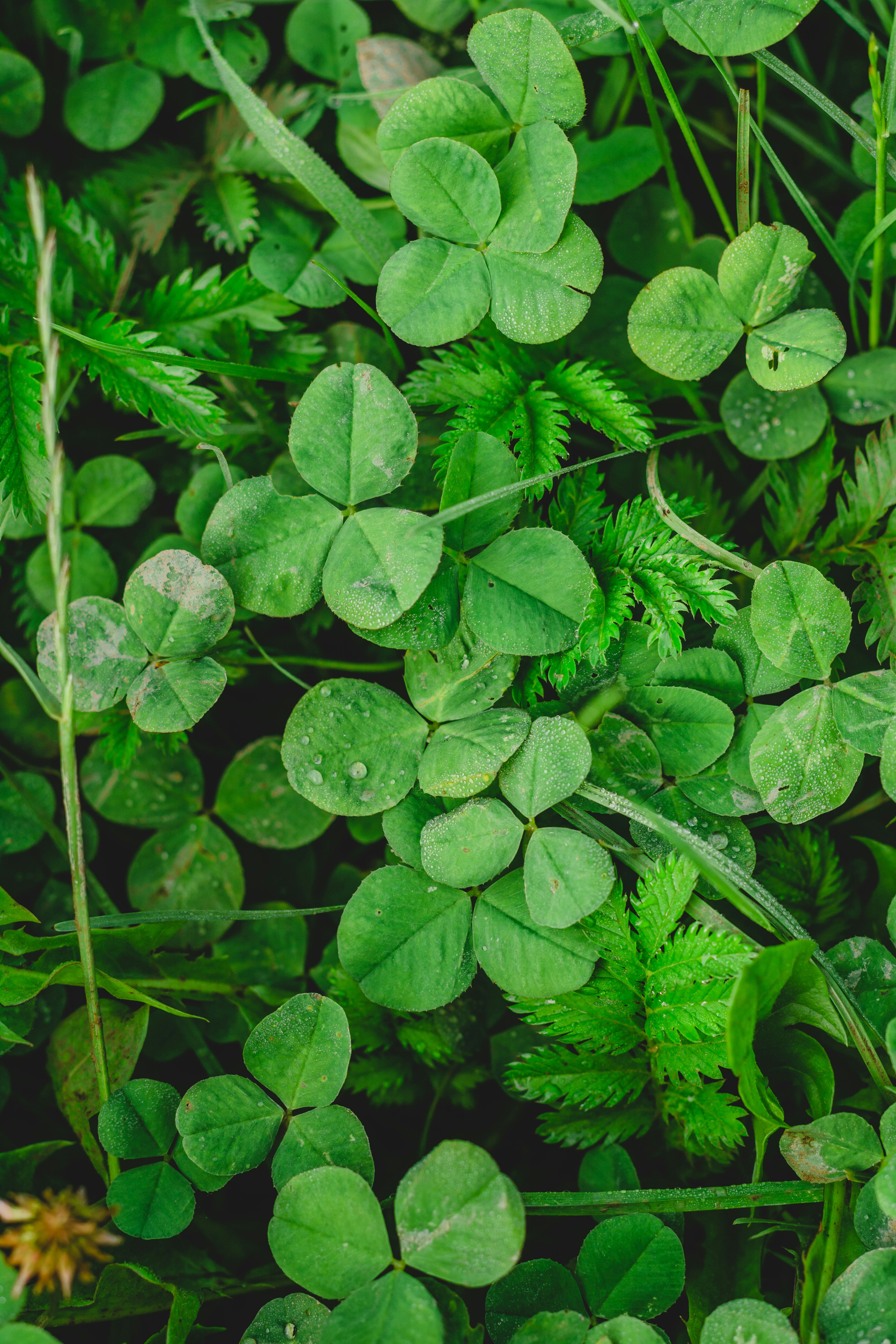 Photo by eugenivy_now