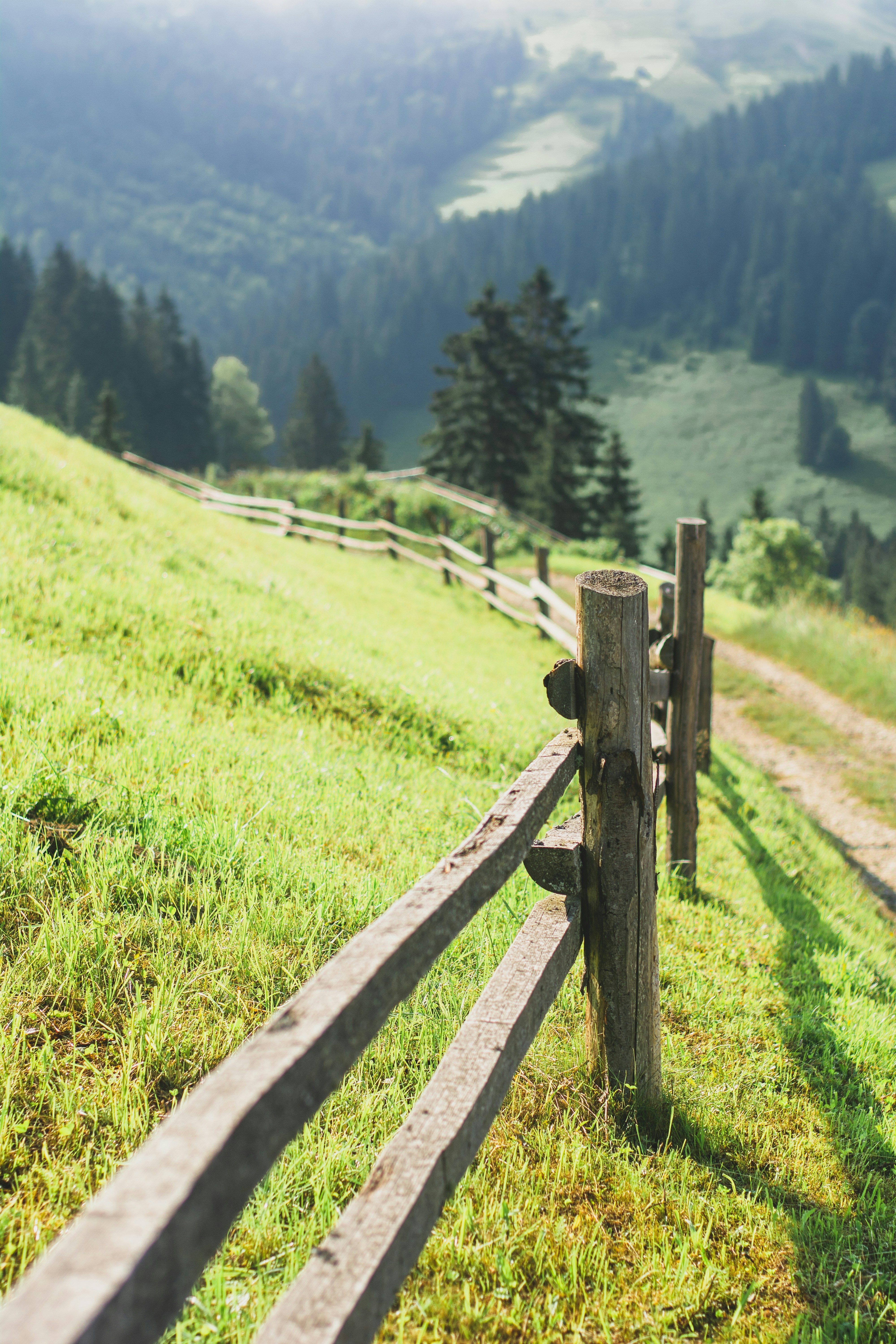 Photo by eugenivy_now