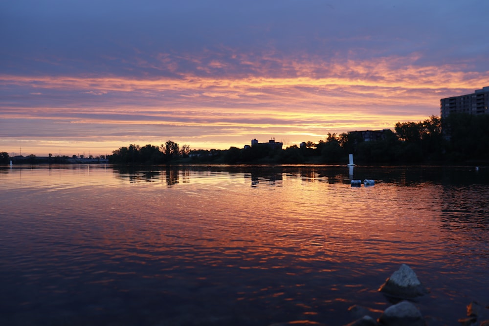 silhouette of trees near body of water during sunset