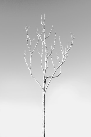 A minimalist landscape with muted tones and a lone tree against a charcoal grey sky.