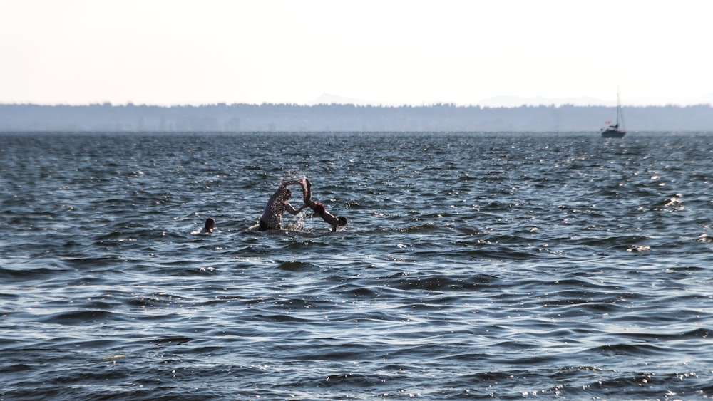 2 person in water during daytime