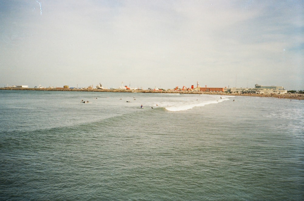 people on beach during daytime