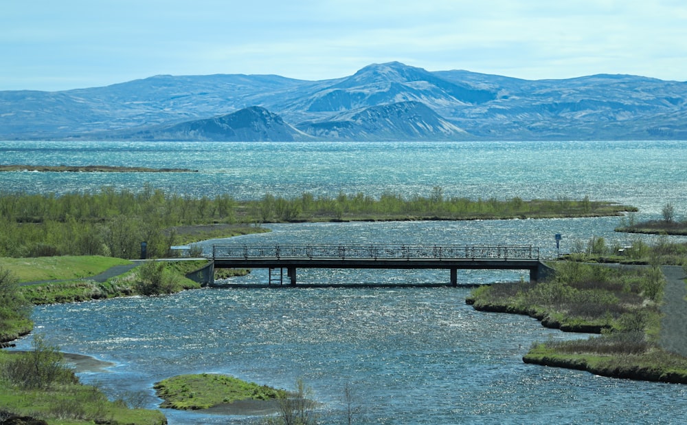 brown wooden bench on green grass field near lake and mountains during daytime