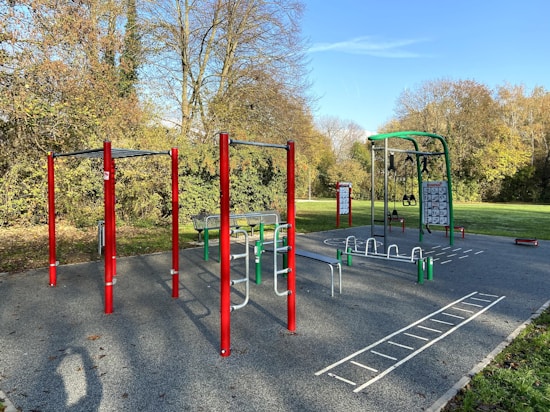 An outdoor fitness park surrounded by trees features various exercise stations with equipment like bars and rings. The area is bordered by lush green grass and there are tall trees with autumn-colored leaves in the background. The sky is clear and blue, creating a serene environment ideal for workouts.