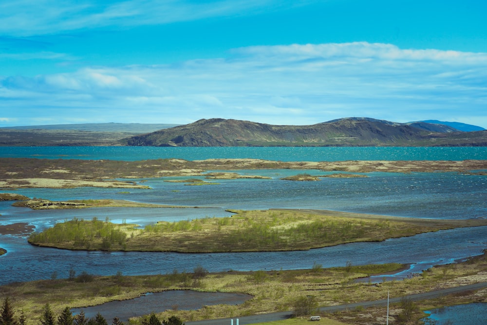 green grass field near body of water during daytime