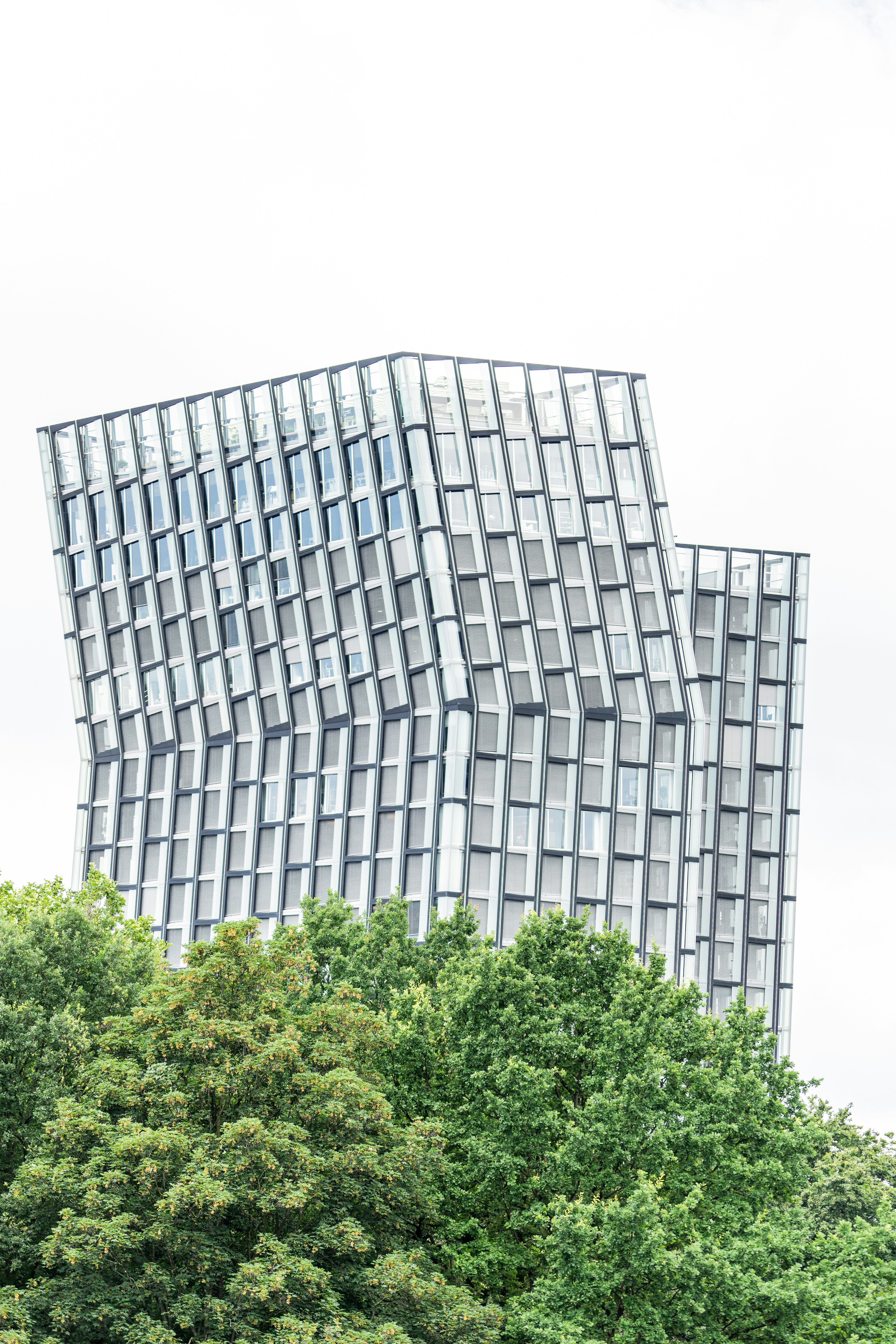 Photo by theverticalstory