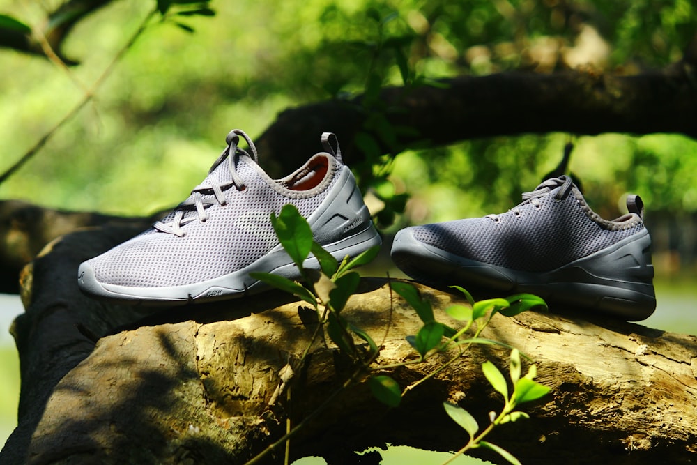 white nike athletic shoes on brown wood log