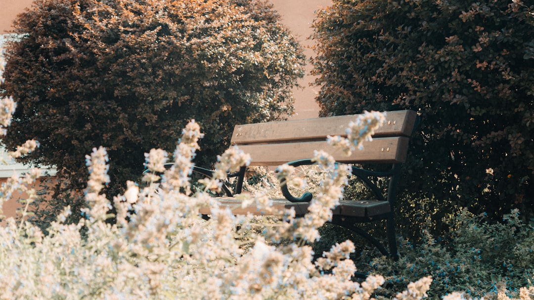 brown wooden bench with white flowers on top