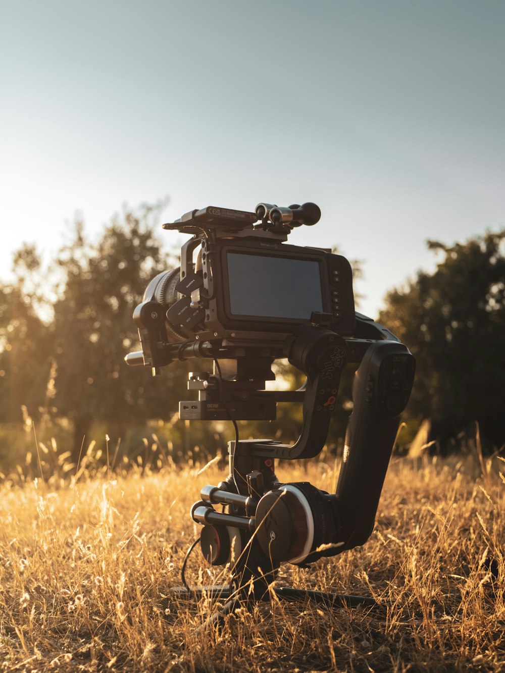 black video camera on brown grass field during daytime