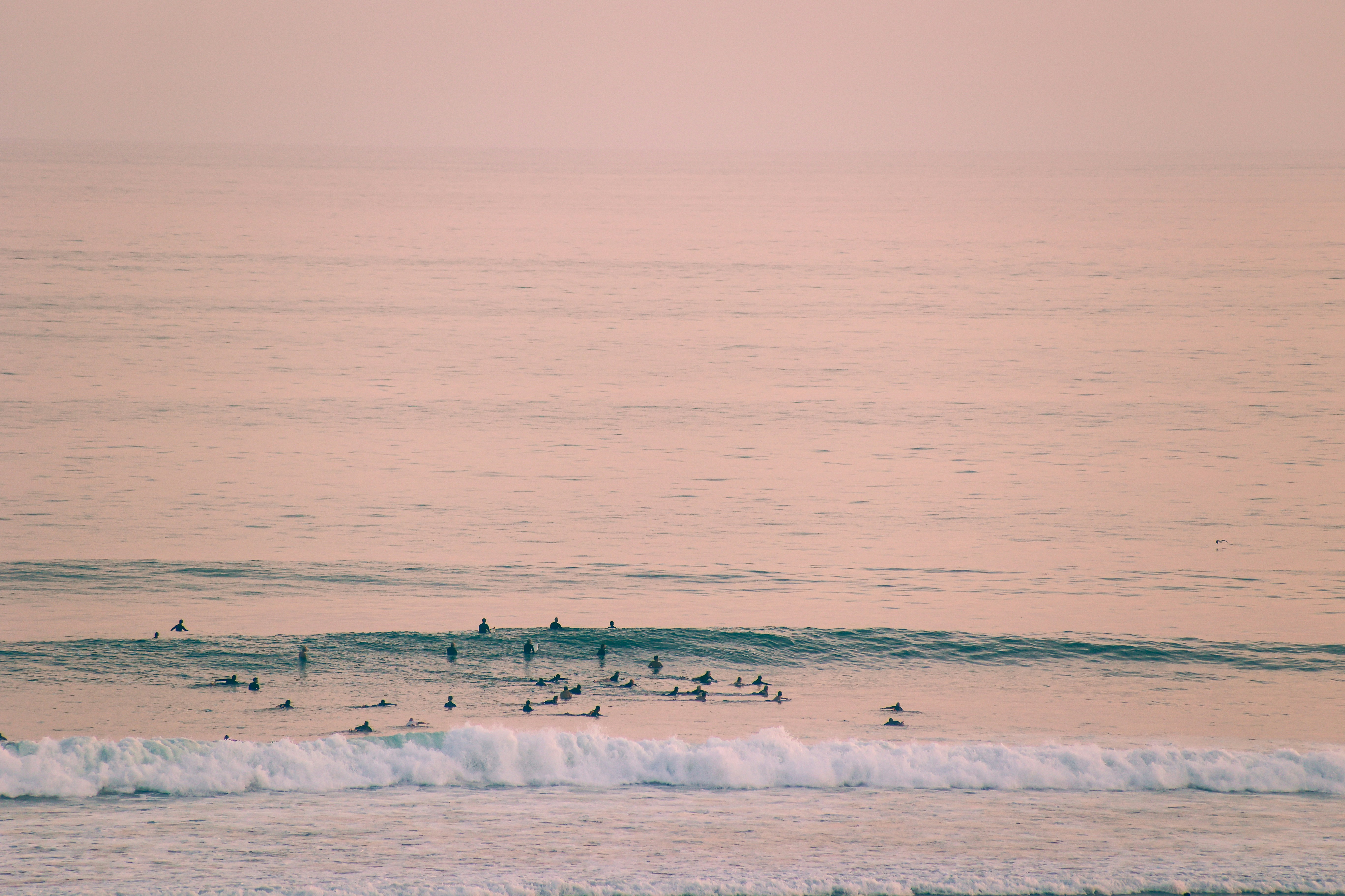Photo by reednaliboff
