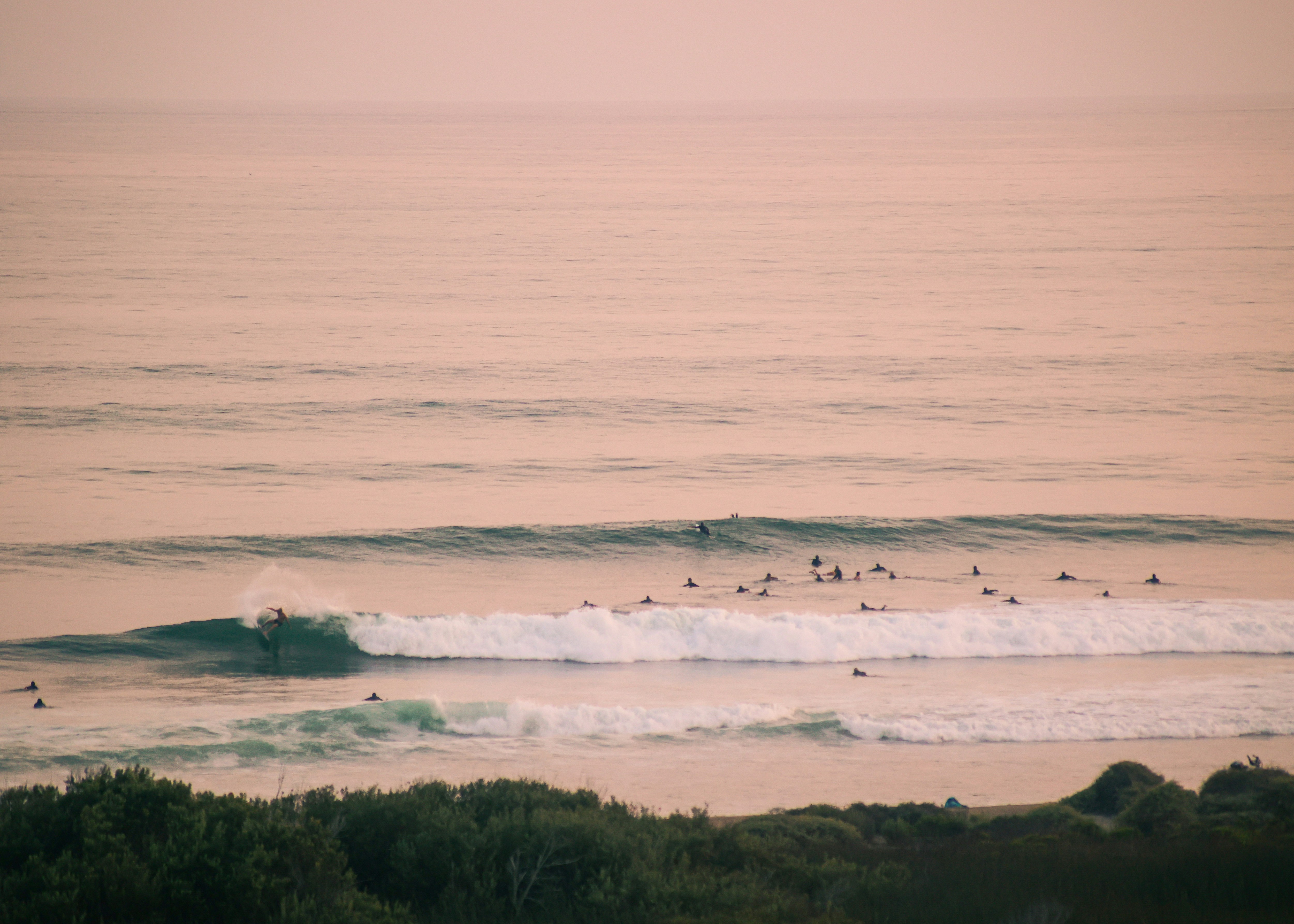 Photo by reednaliboff