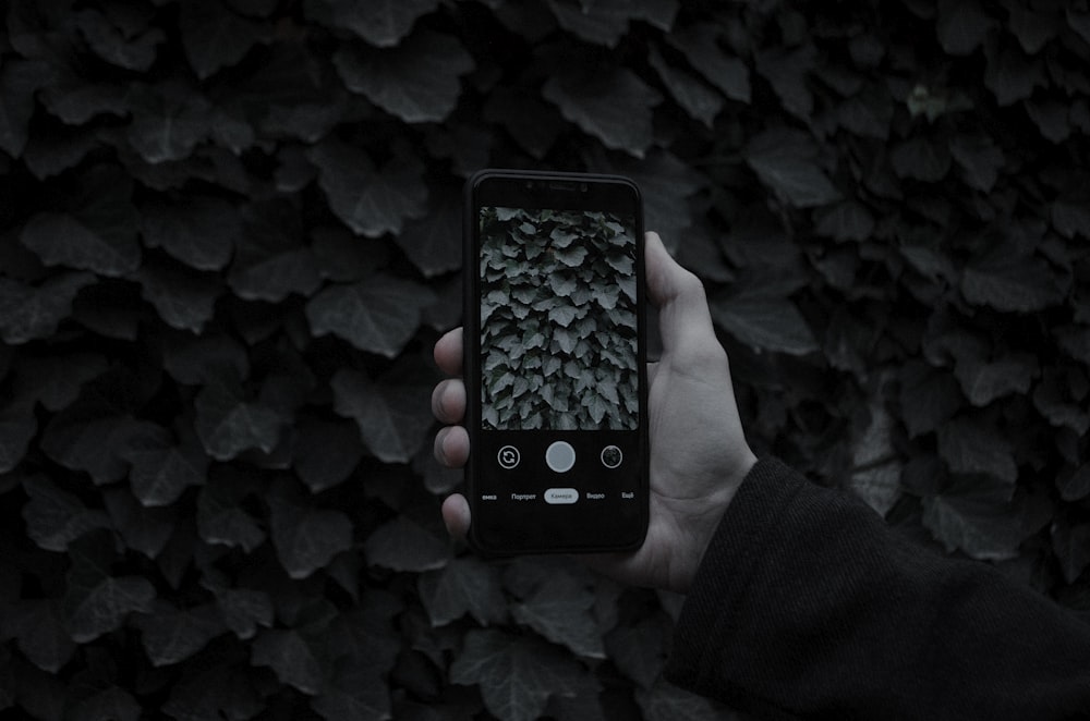 person holding black iphone 5