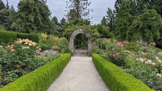 green grass and green plants