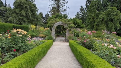 green grass and green plants