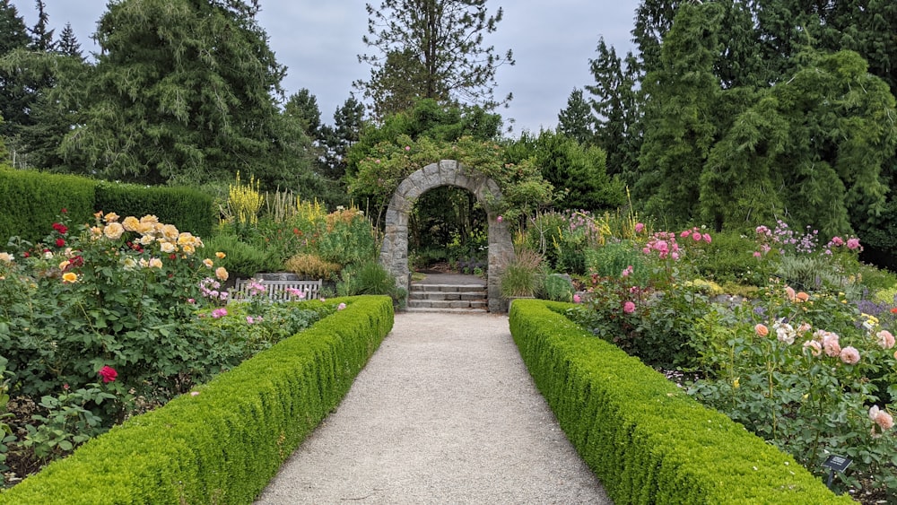 green grass and green plants